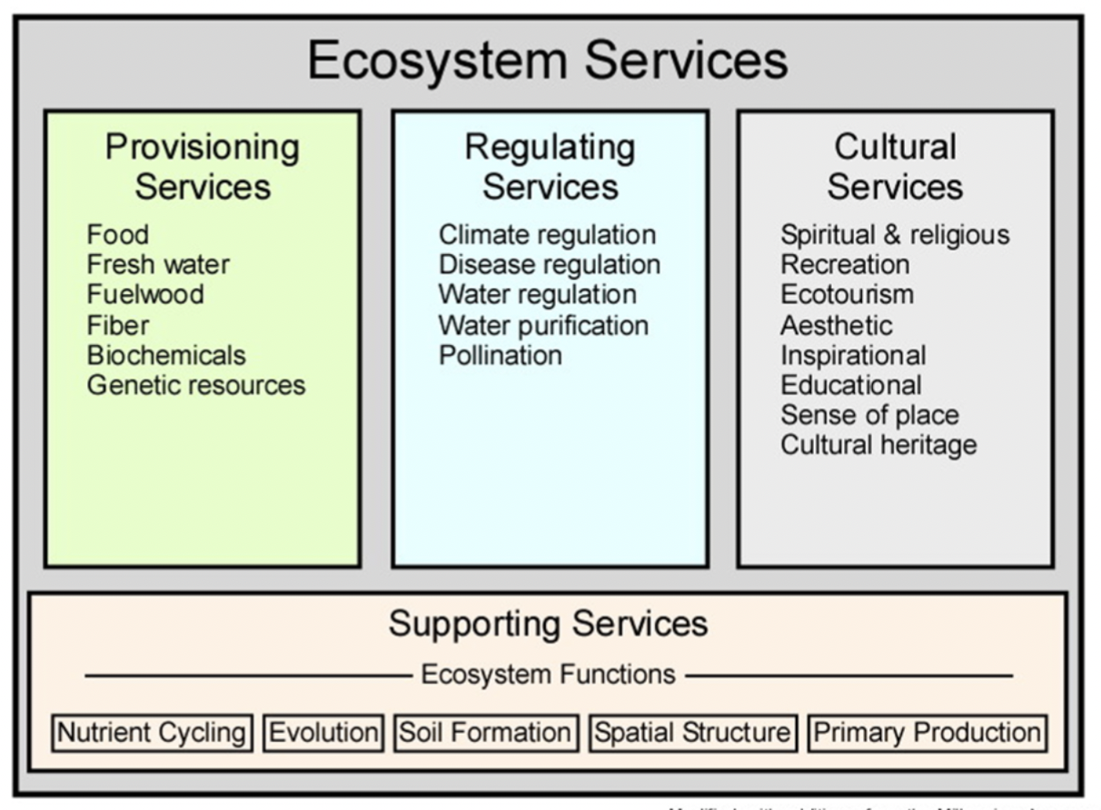 <p>&nbsp;B. Supporting services</p>