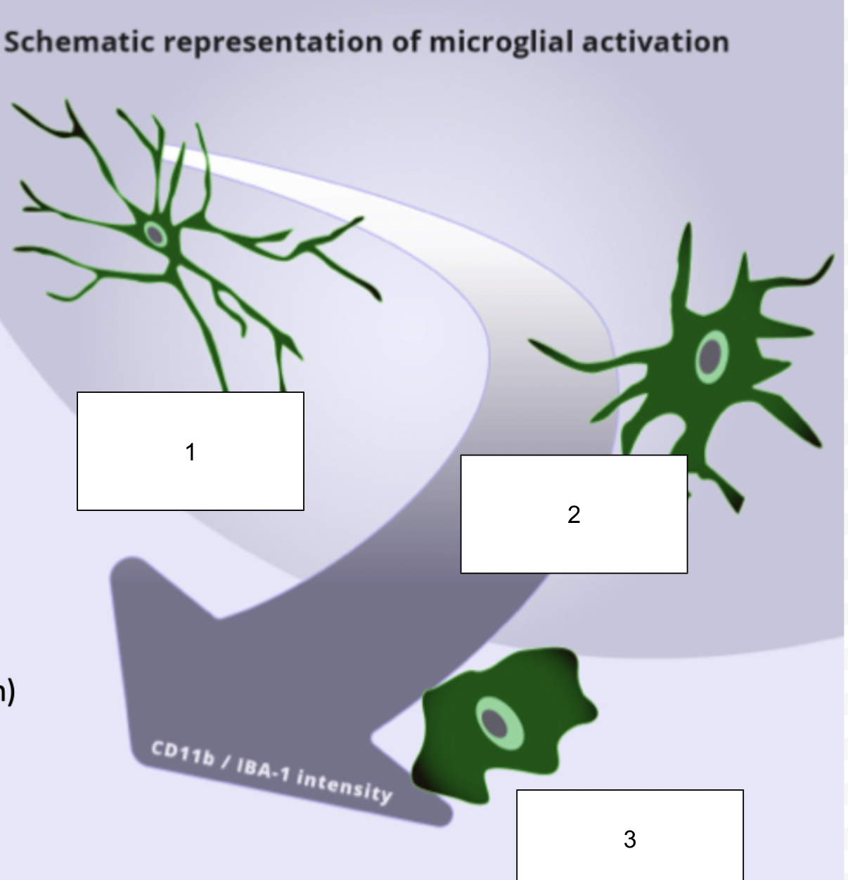<p>label this diagram</p>