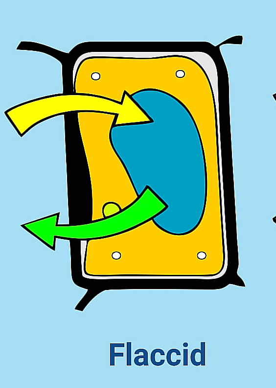 A term used to describe plant cells that are plasmolyzed
