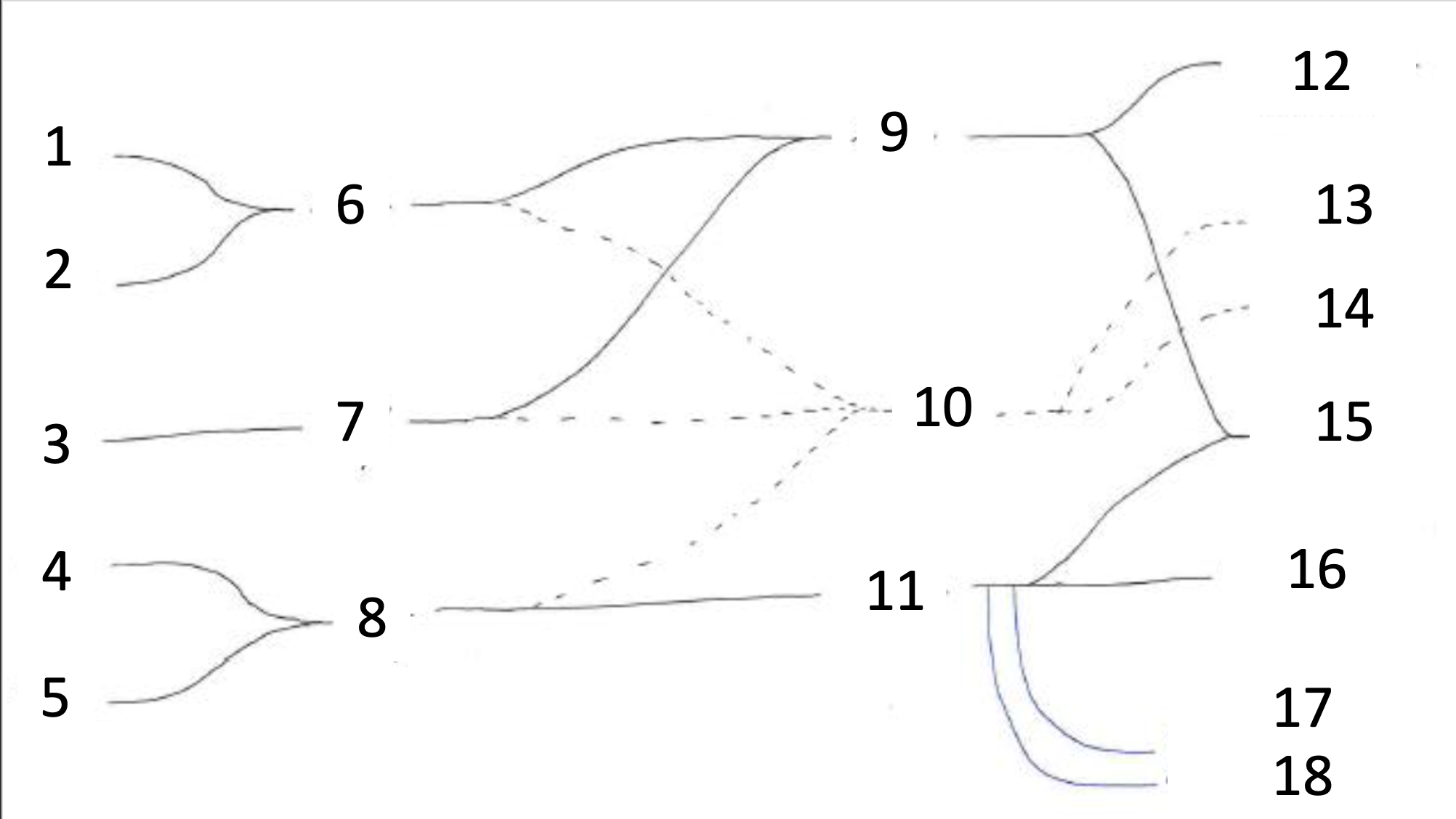 <p>Nerf cutané médial du bras</p>