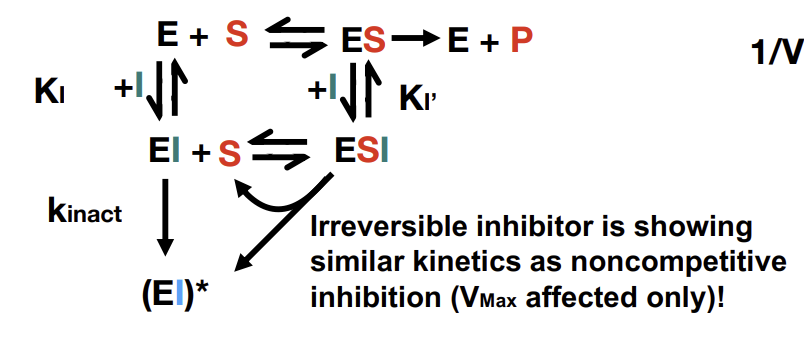 <p>Functions similarly to non-competitive inhibition in that it only affects V<sub>Max</sub>. Eventually the inhibitor will be entirely used up.</p>