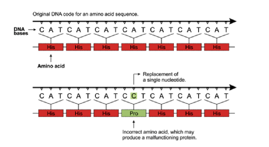 <p>change in the sequence which does change the aa sequence of the protein</p>