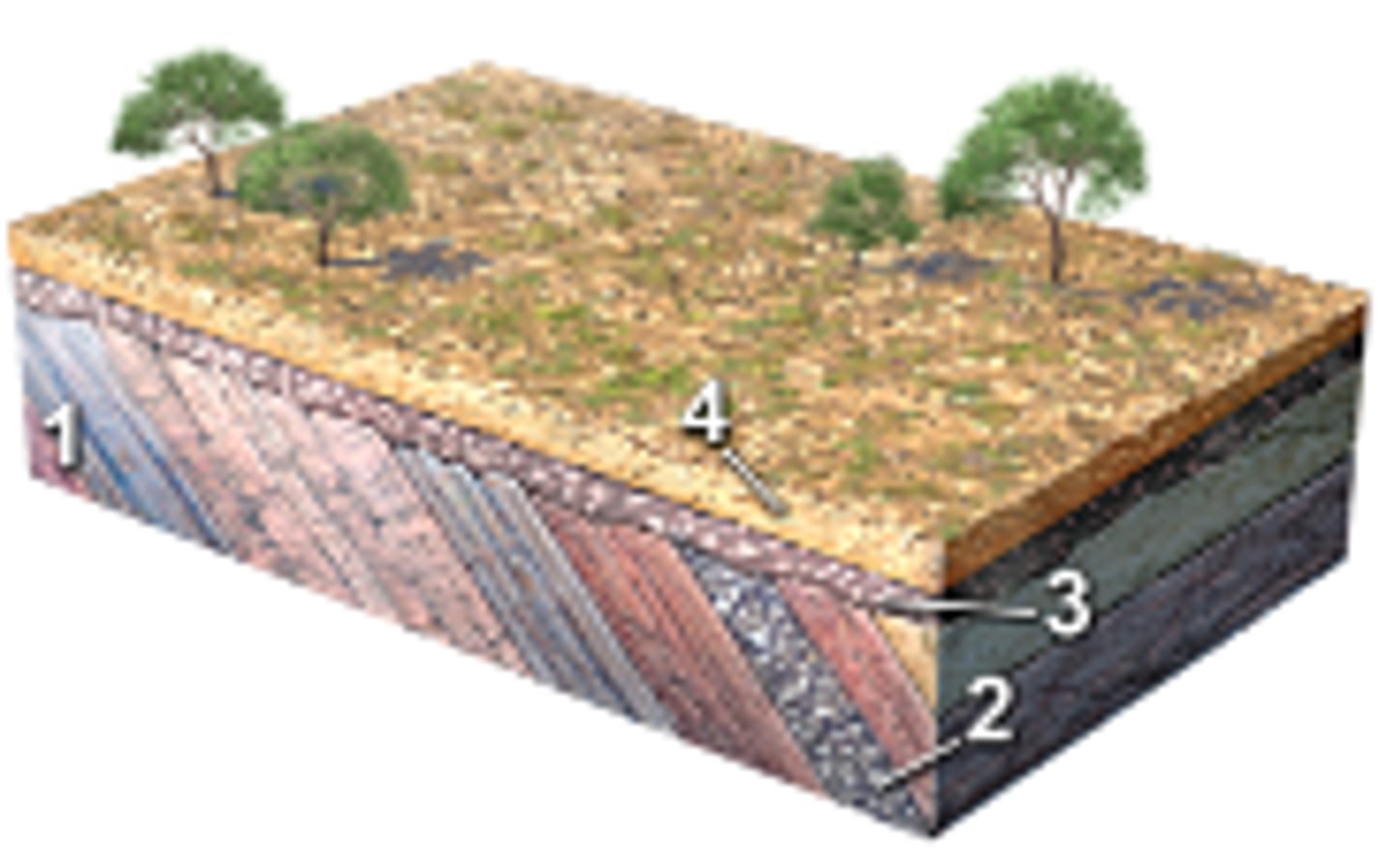 <p>unconformity</p>