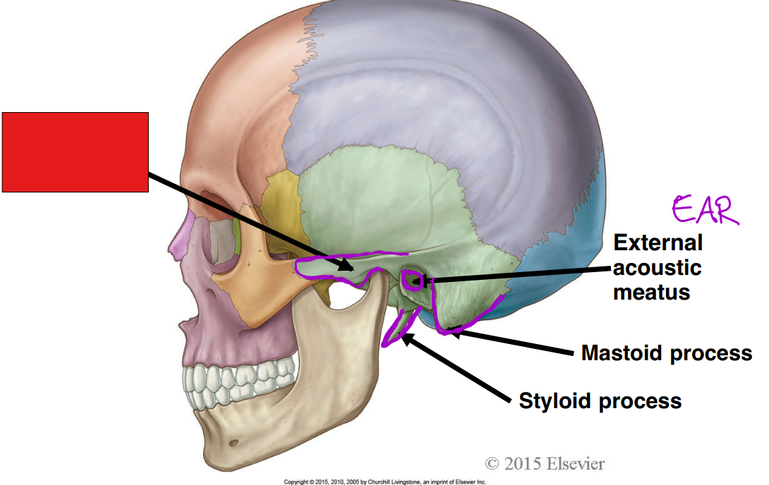 <p>fill in the red box:</p>