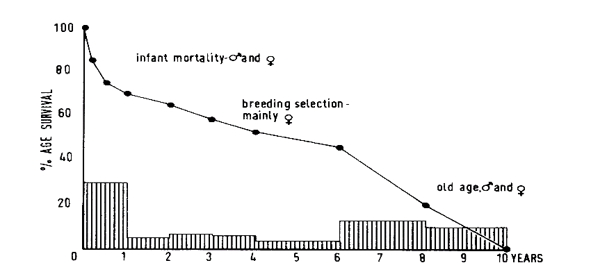 <p><span>-Male sheep can be used for wool</span></p><p><span>-Less deliberate culling of males</span></p><p><span>-Only big drop is infant mortality</span></p>