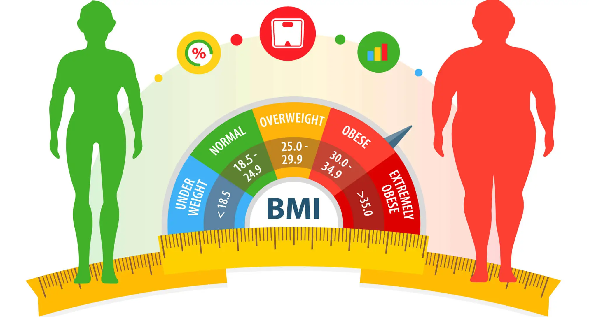 <p>Body Mass Index</p>