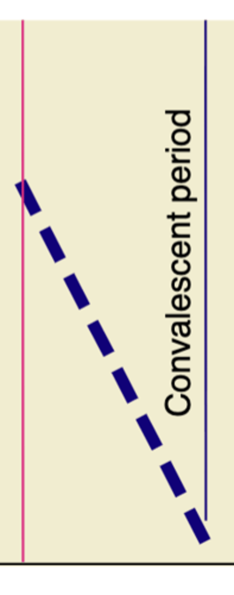 <p>as person begins to respond tothe infection, symptoms decline</p>