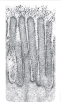 <p>what is this? what are the dark edges supposed to depict</p>
