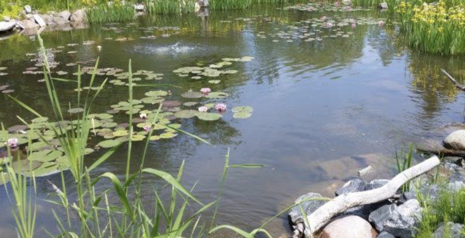 <p>il a répondu / il lui a répondu</p>