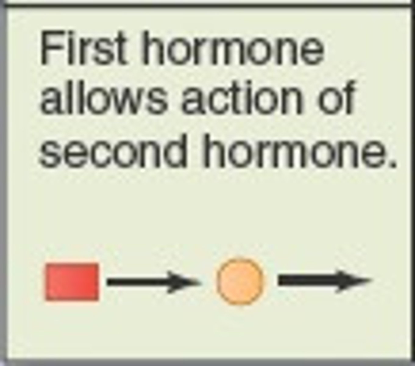 <p>One hormone cannot exert its full effects without another hormone being present (e.g., reproductive hormones needing thyroid hormone).</p>