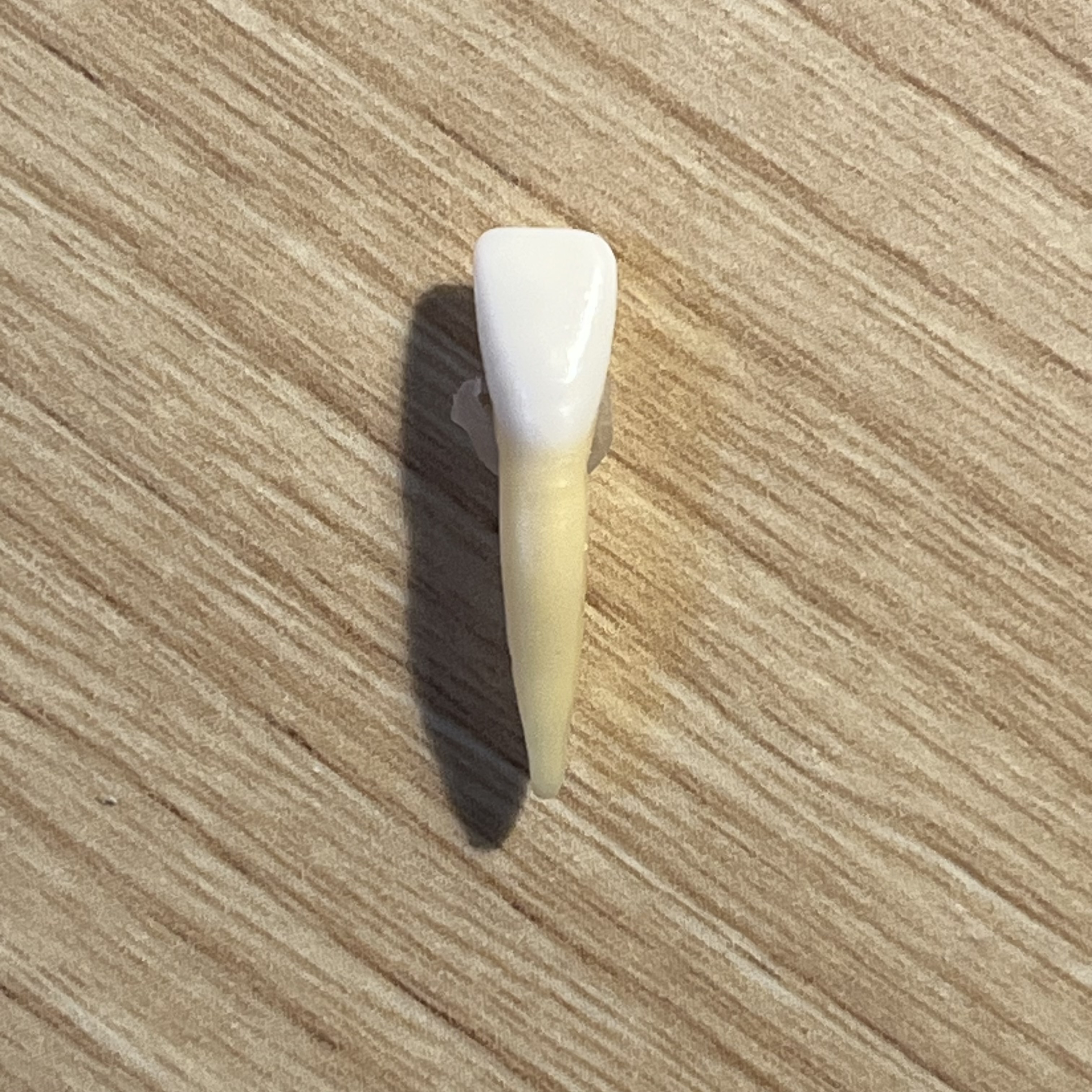 <p>What tooth is this (with view)?</p>