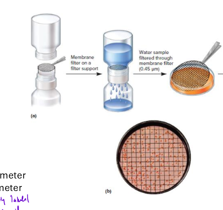 <p>after a liquid sample of bacteria is filtered, sample is put on plate with a grid and organisms are directly counted</p><p></p>