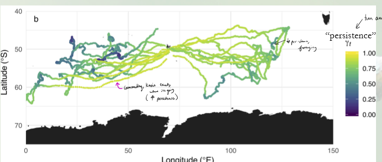 <p></p><p>What is persistence in movement characteristics?</p>