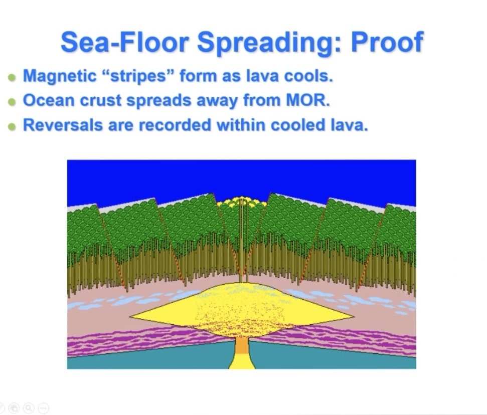 <p>Proof of sea floor spreading</p>
