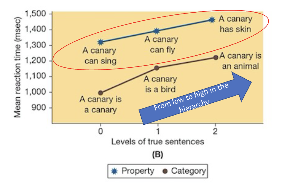 <ul><li><p>Slower responses to feature description than category name</p></li><li><p>Slower responses to features from the top level</p></li><li><p>Slower responses to category members from the top level</p></li></ul><p></p>