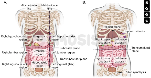 knowt flashcard image