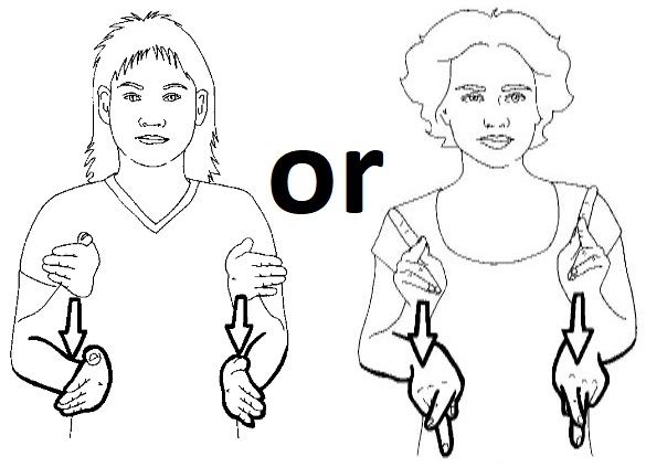 <p>Hold flat hands in front of you, palms facing, and move them down (another sign uses the &quot;K&quot; hands)</p>