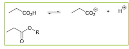 <p>Carboxylic acids can dissociate but amines or esters cannot</p>