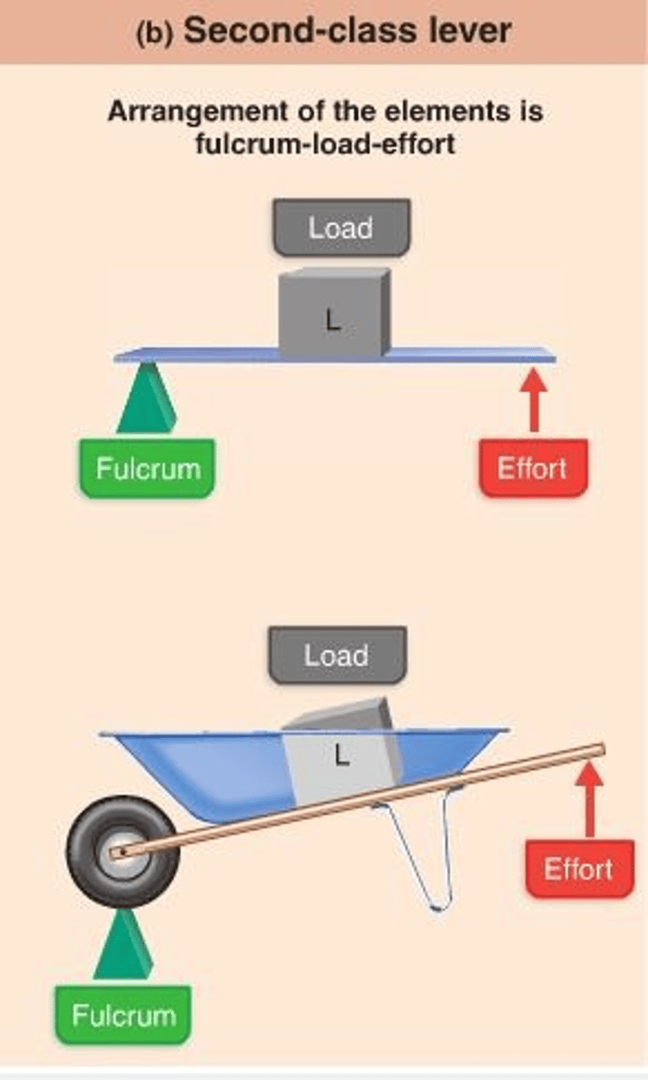 <p>When the load is in the middle with the pivot and effort on either side e.g. a wheelbarrow</p>