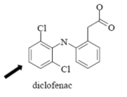 <p>Name Enzyme&nbsp;</p>