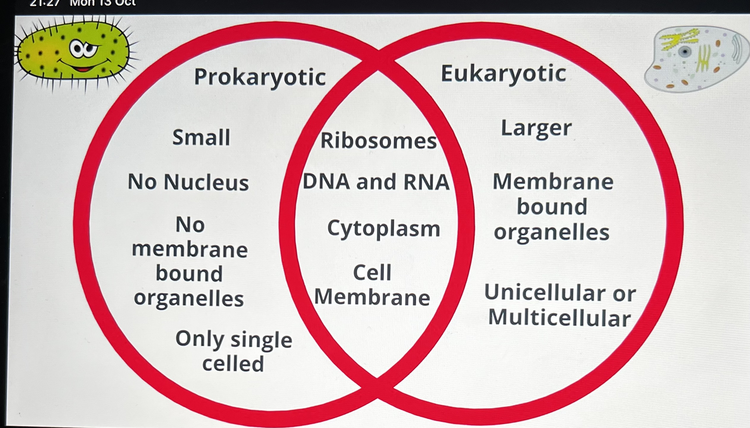 <p>Eukaryotic cells contain a nucleus</p>