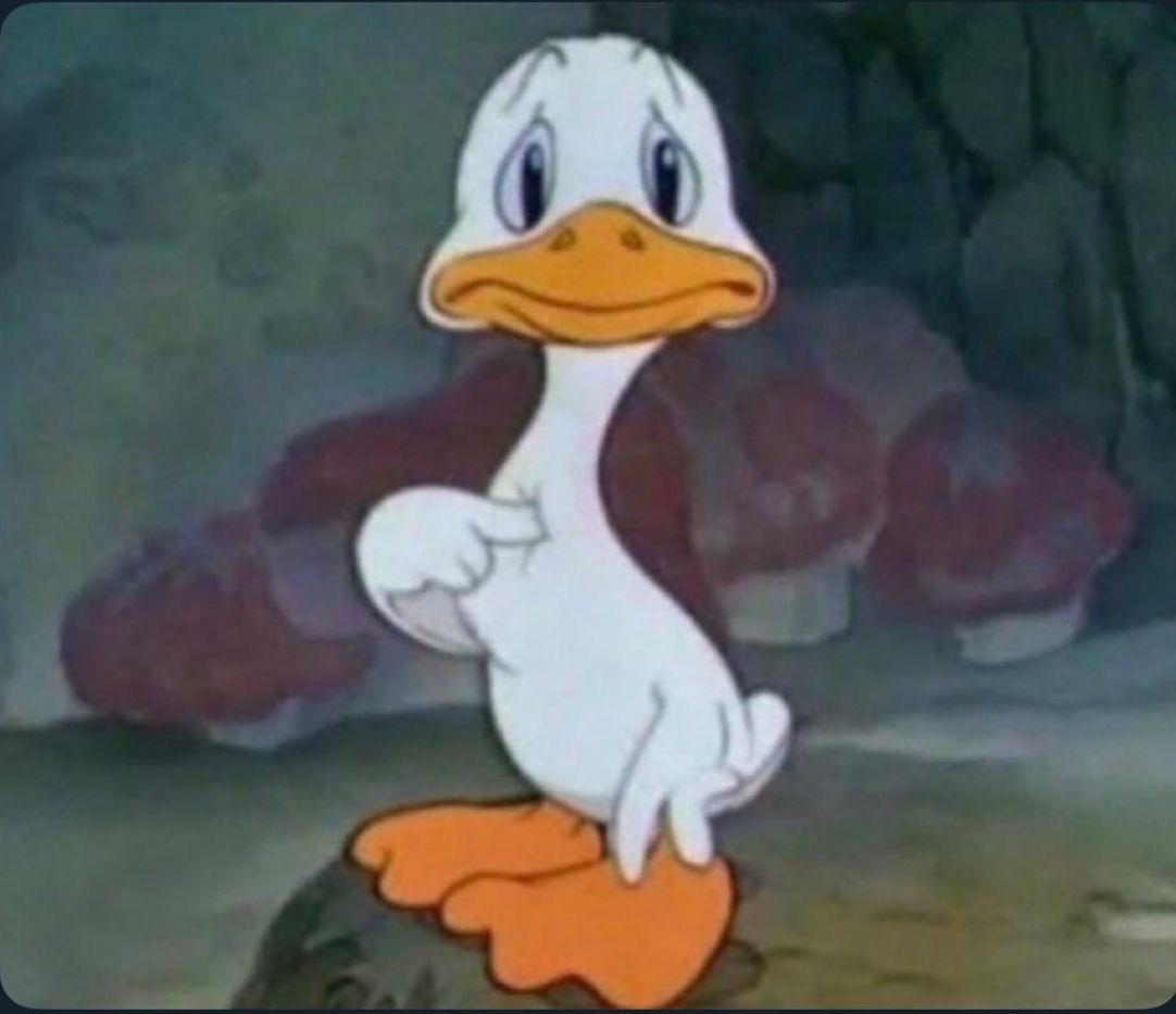 <p>Protection against unreasonable searches and seizures.</p>