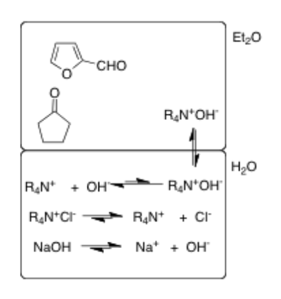 <p>Aliquat will be used as a phase transfer catalyst to bring OH- from the aqueous phase to the organic phase so it can react with the furanol and cyclopentanone for the aldol reaction</p>