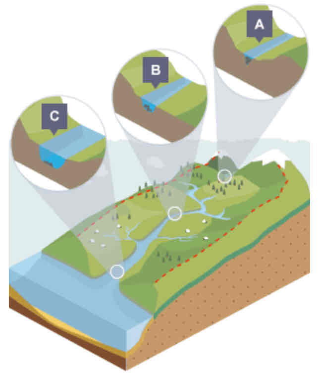 <p>In the <u>lower</u> course…</p><ul><li><p>Lot less erosion</p></li><li><p>Only some lateral erosion</p></li><li><p>Channel is at its widest and deepest</p></li></ul>