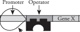 <p>Operator</p>