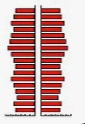 <p>What type of population pyramid is this?</p>