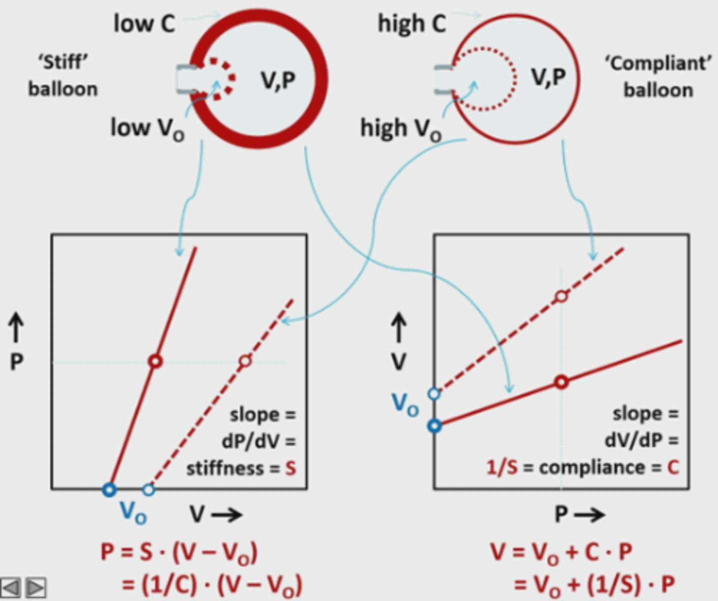 <p>* Linker figuur</p><p>- X-as staat het volume, Y-as staat de transmurale druk </p><p>- Je kunt het vat vullen tot unstressed volume, er is dan geen transmurale druk</p><p>- Stijf vat: Steilere curve: oprekking zorgt voor grote toename in transmurale druk</p><p>- Compliant vat: Minder steile curve: oprekking zorgt voor kleine toename in transmurale druk</p><p>* Rechter figuur</p><p>- X-as staat transmurale druk, Y-as staat volume</p><p>- Stijf vat: Minder steile curve: oprekking zorgt voor kleine toename in transmurale druk</p><p>- Compliant vat: Steilere curve: oprekking zorgt voor grotere toename in transmurale druk</p><p>- Hoek tussen ∆V / ∆P is de compliantie</p>