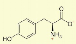 <p>tyrants like alcohol</p><p>tire OH</p>