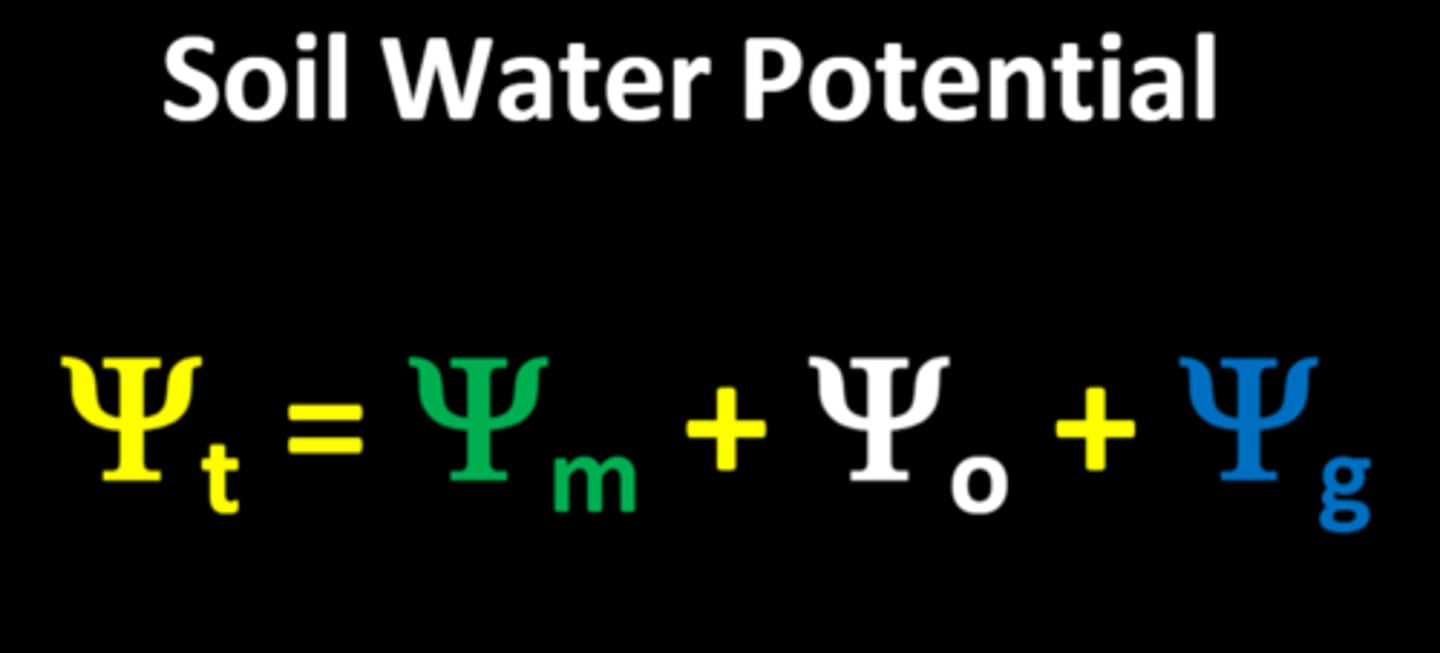 <p>What does Ψt symbolize?</p><p>-the sum of water potentials</p>