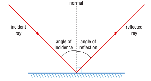 <ol><li><p>Flat mirror</p></li><li><p>3. 4. 5. 6. 7</p></li></ol><p></p><p>* Normal = <strong>perpendicular that is drawn to the reflecting surface</strong></p>