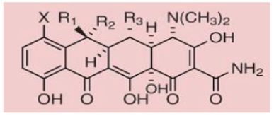<p>macrolide: 14 membered ring, lactone cyclic ester</p><p></p><p>tetracycline: tricarbonyl, highly enolized</p>