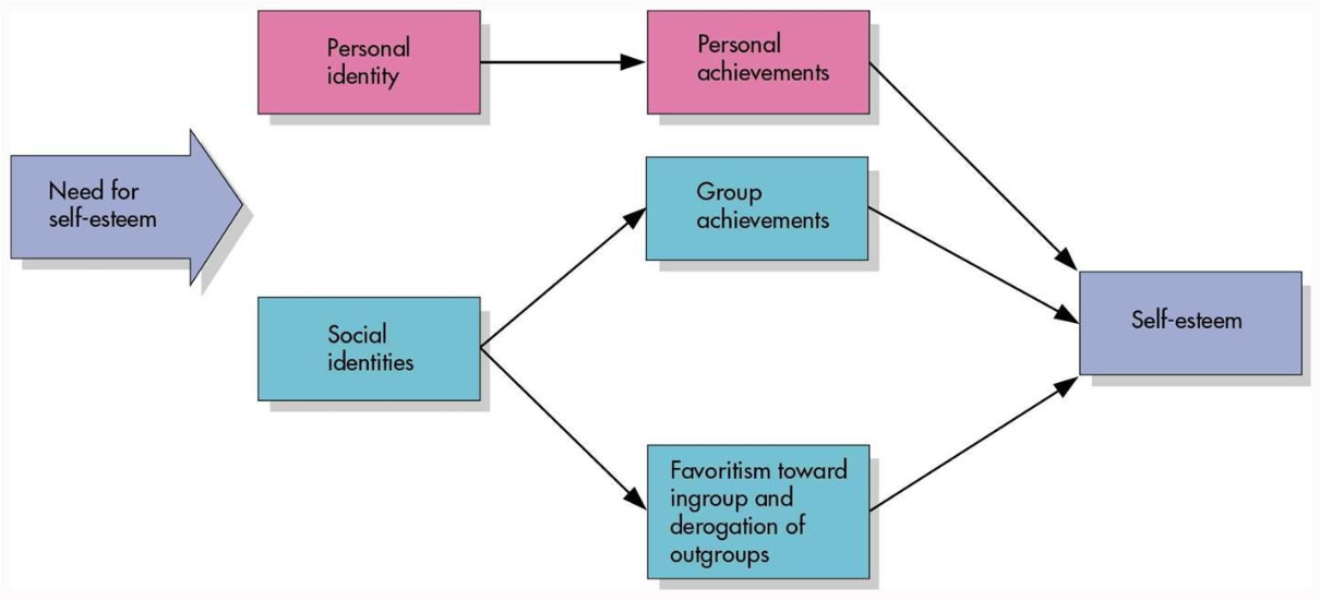 <ul><li><p>categorization</p></li><li><p>identification</p></li><li><p>comparison</p></li></ul><p></p>