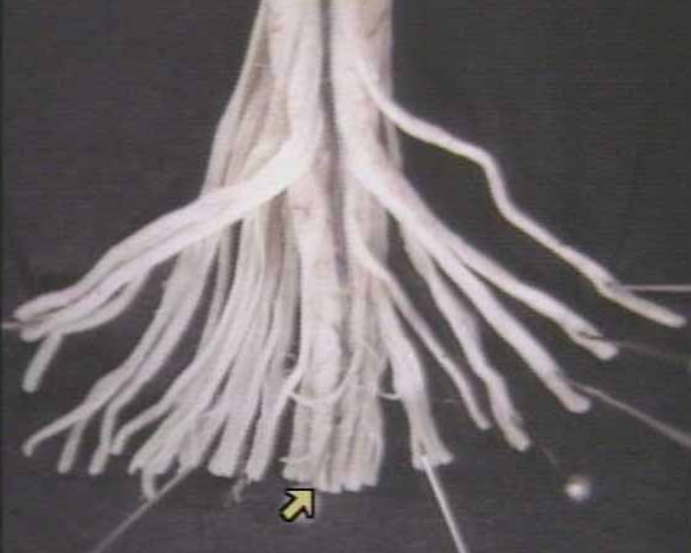 <p>What is this?</p>