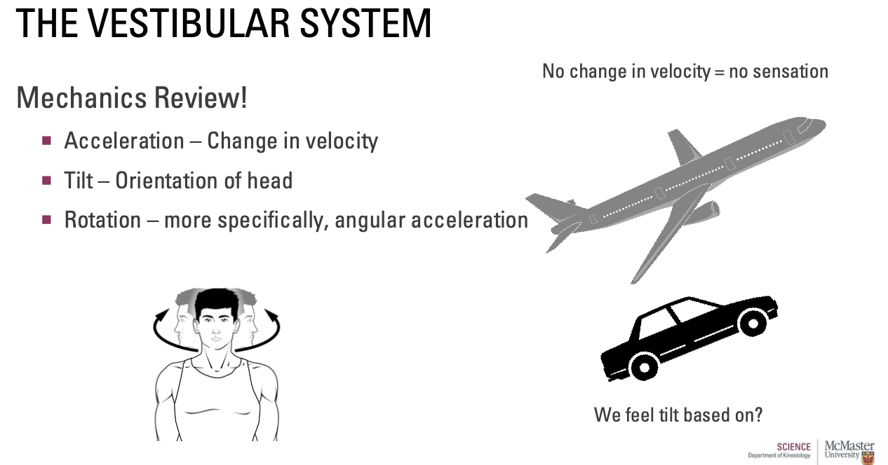 <ul><li><p>Acceleration – Change in velocity</p><ul><li><p>Airplane at a consistent speed = no change in velocity = no sensation</p></li></ul></li></ul><ul><li><p>Tilt – Orientation of head</p><ul><li><p>Due to gravity </p></li></ul></li><li><p>Rotation – more specifically, angular acceleration</p><ul><li><p>Due to the semicircular canals</p></li></ul></li></ul><p></p>
