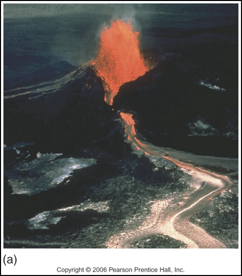 <p>what type of eruption is this</p>