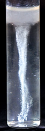 <p>What this Thioglycollate result tube indicates?</p><p>Growth throughout the tube, but the growth is denser towards the top</p>
