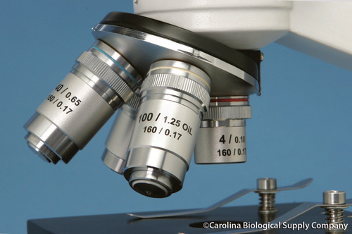<p>Numerical aperture measures the ability of the objective lens to collect light.</p>