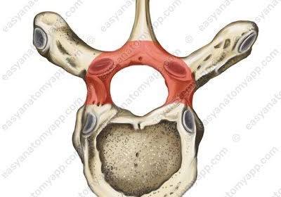 <p>Obrázkový oblouk </p>