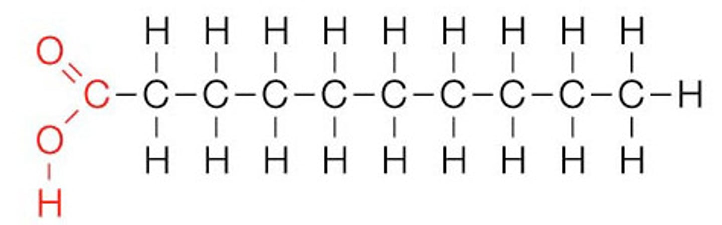 <p>Fatty acids (lipids) that are:</p><p>Solid at room temperature</p><p>Single C-C bonds only</p><p>Straight hydrocarbon chains</p>