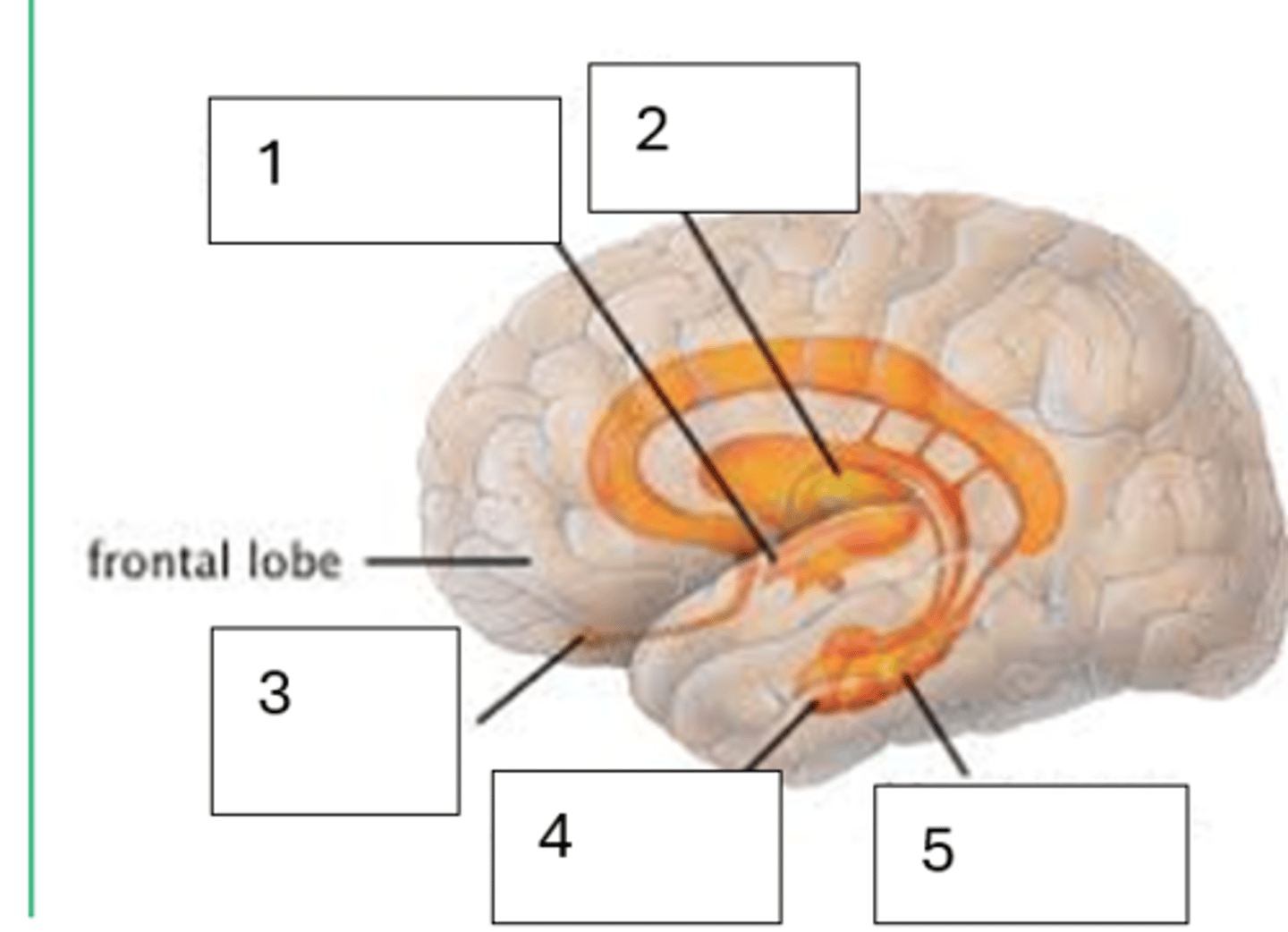 <p>1</p>