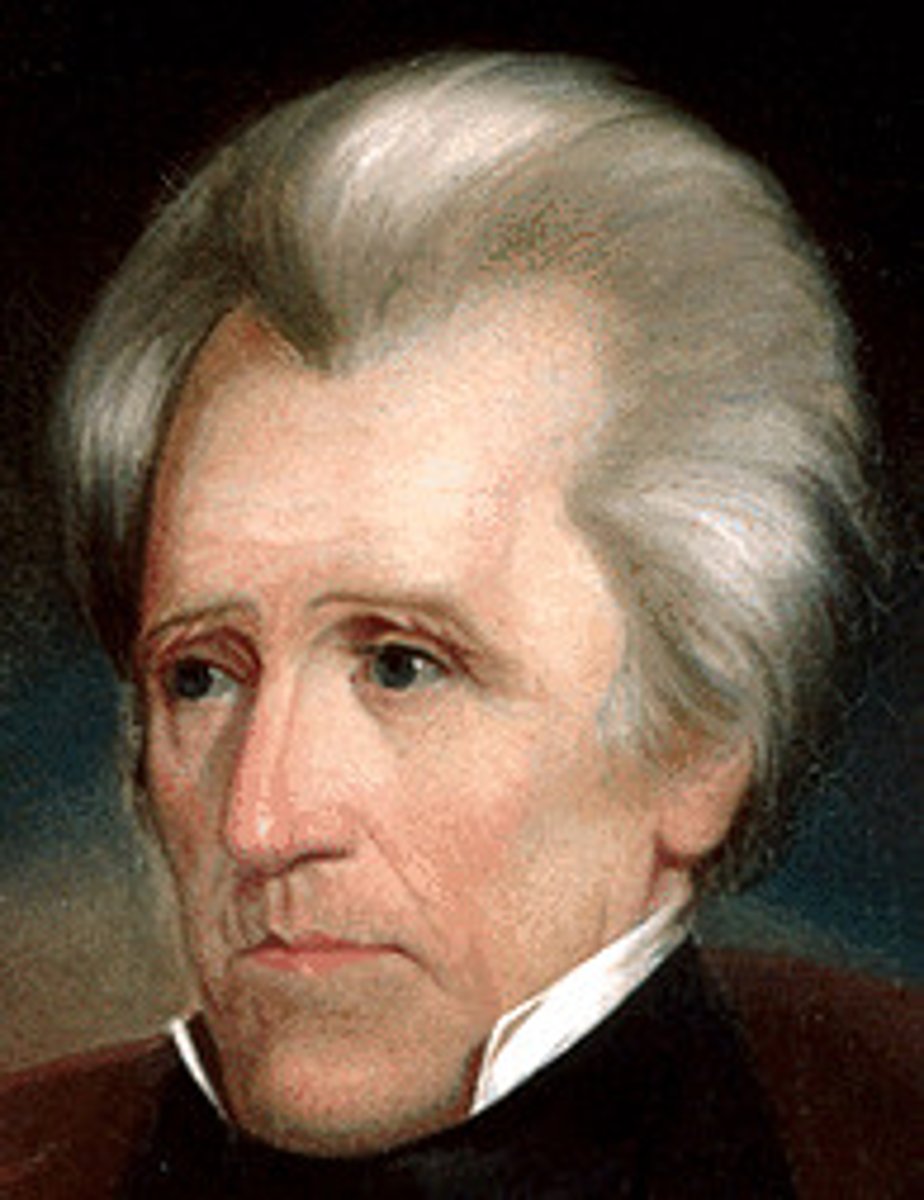 <p>Democratic</p><p>"Old Hickory" Known for vetoes. Accused of abuse of power, spoils system, Indian removal act (trail of tears), destroys US bank</p>
