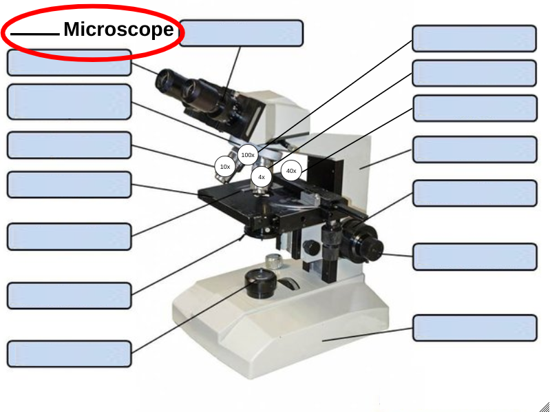 <p>What <strong>kind </strong>of microscope do we<strong> </strong>use?</p>