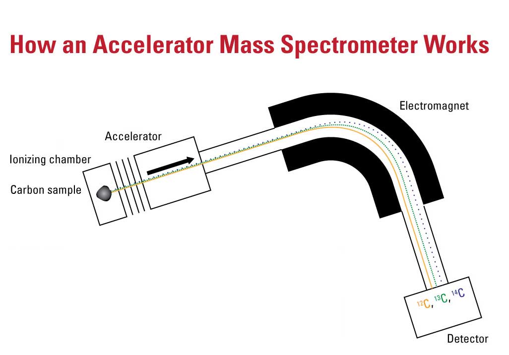 <p>Molecules are vaporized then ionized by electron beam bombarding vapor, <span>positive ions created accelerate towards negative plates at a speed dependent mass, deflected by a magnetic field depending on mass finally reaching the detector </span></p>