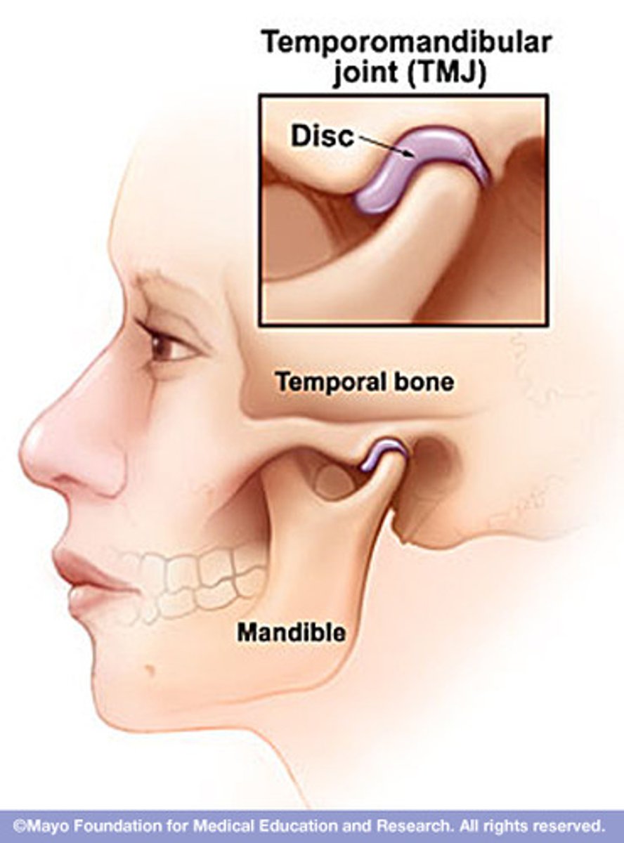 <p>Moving component: mandible, convex moving on concave, osteo/arthrokinematic motion occurs in opposite directions</p>