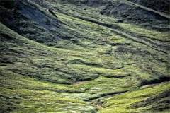 <ul><li><p>Mass movement</p></li><li><p>Saturated soil flows down a steep slope because permafrost is impermeable to water so soil overlaying it becomes saturated and gravity brings it down</p></li><li><p>Characteristically forms features called solifluction lobes</p></li></ul>