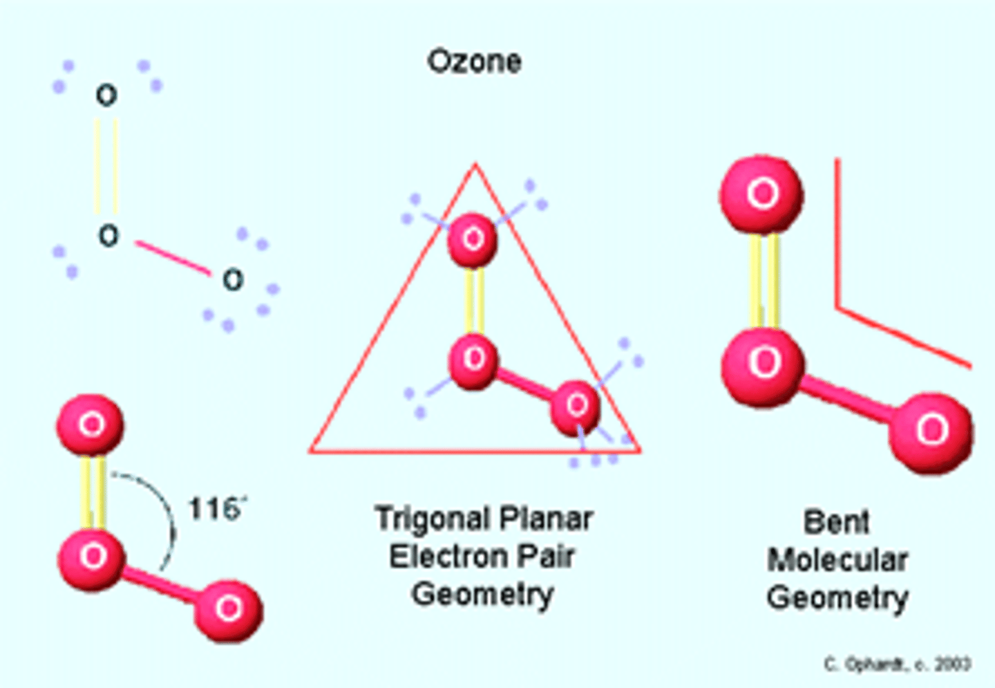 <p>Ozone molecules have a trigonal planar/ planar triangular shape</p><p>1. Central atom- the oxygen atom</p><p>2. Number of regions of charge around it- 3 (one O-O, one O=O and one lone pair)</p><p>3. Bonding angle- 120o</p><p>4. Number of lone pairs- 1</p><p>5. Corrected bonding angle- 120-2.5= 117.5o</p>